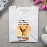 The Chihuahua that stole my Heart