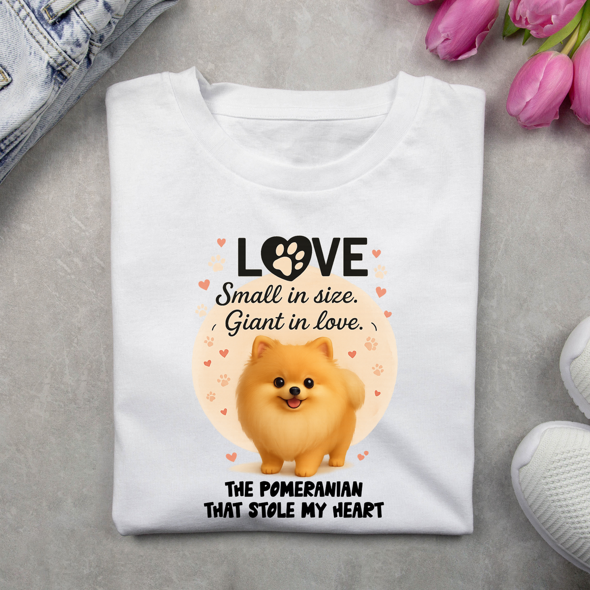 The Pomeranian that stole my Heart